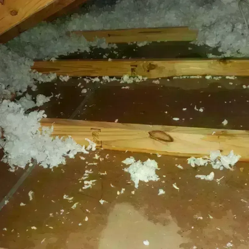 Attic Water Damage in Stevens Point, WI