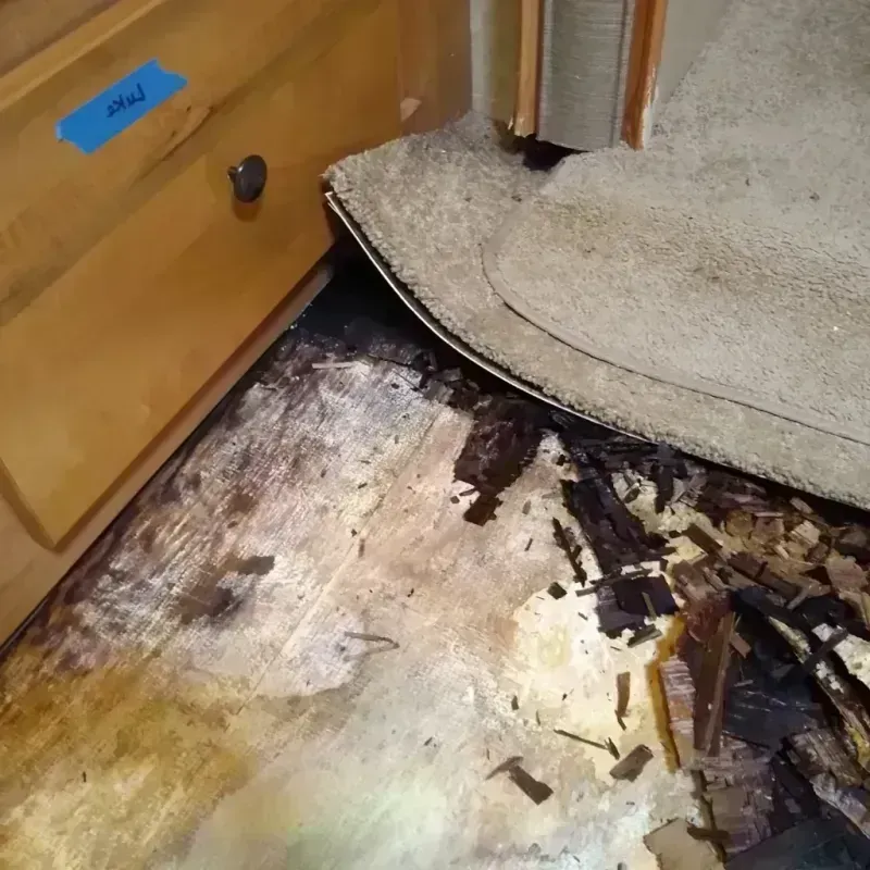 Wood Floor Water Damage in Stevens Point, WI